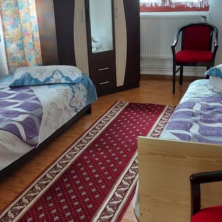 Appartamento Casa Rodica Vatra Dornei Esterno foto