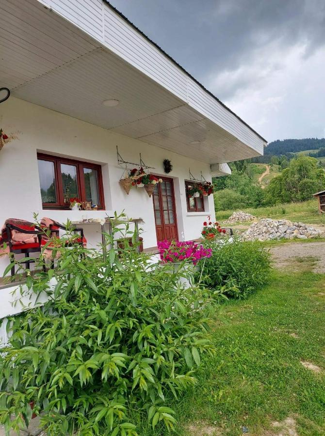 Appartamento Casa Rodica Vatra Dornei Esterno foto