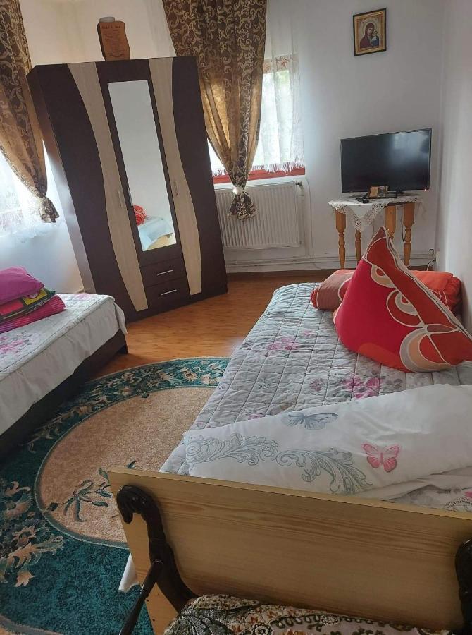 Appartamento Casa Rodica Vatra Dornei Esterno foto