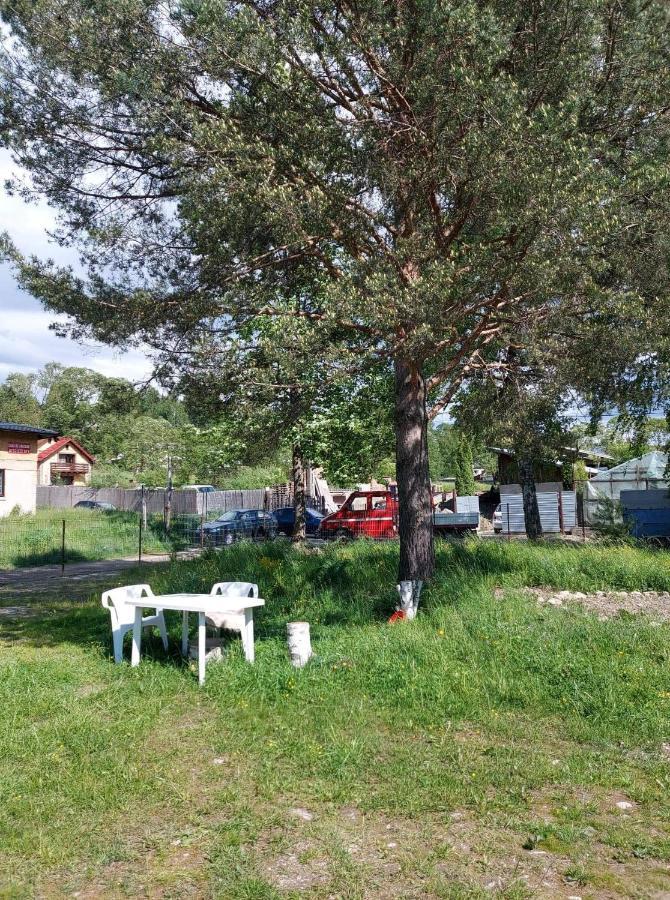 Appartamento Casa Rodica Vatra Dornei Esterno foto