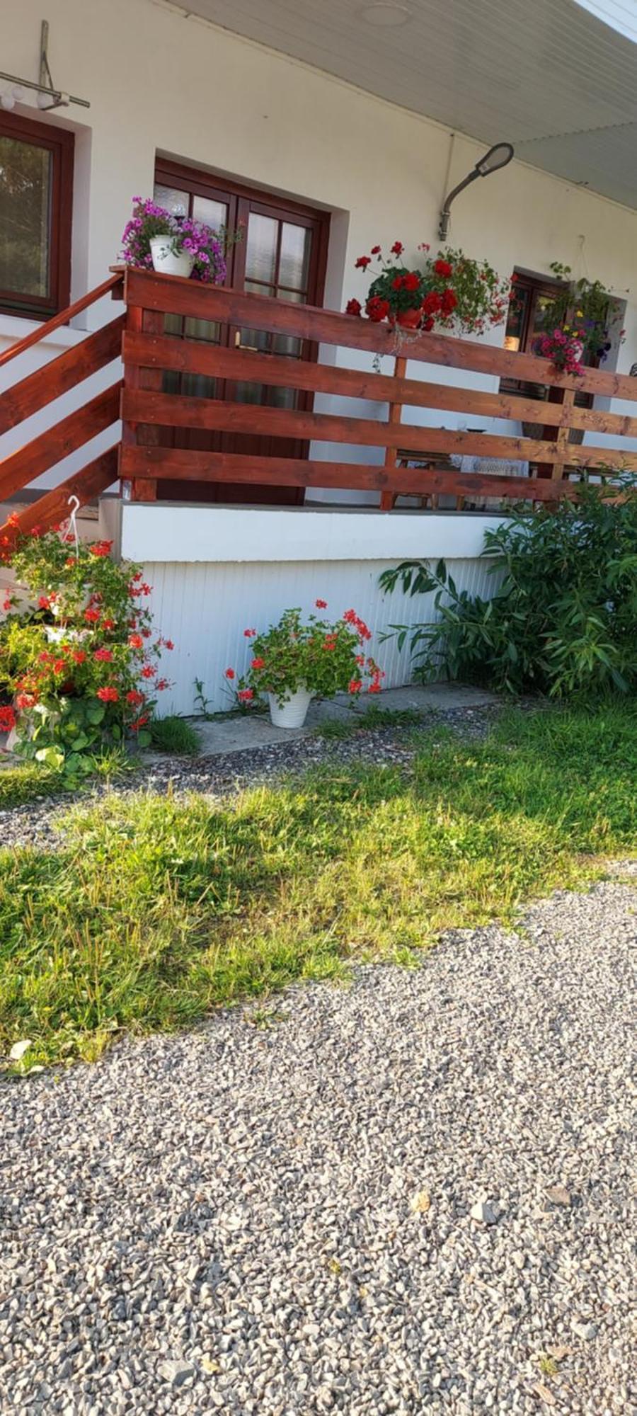 Appartamento Casa Rodica Vatra Dornei Esterno foto